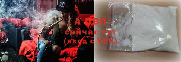 сатива Баксан