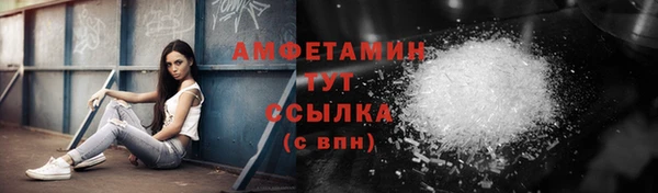 сатива Баксан