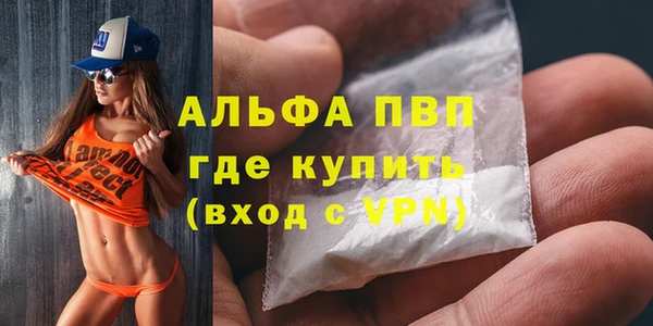 сатива Баксан