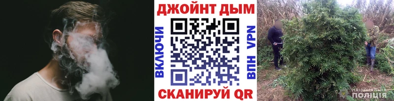 где можно купить наркотик  Высоковск  Каннабис сатива 